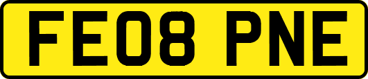 FE08PNE