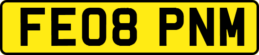 FE08PNM