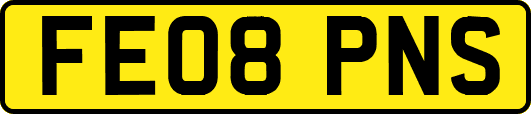 FE08PNS