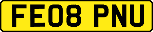 FE08PNU