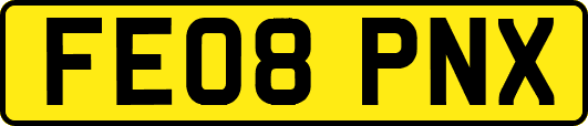 FE08PNX