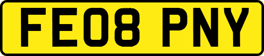 FE08PNY
