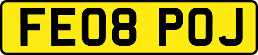 FE08POJ