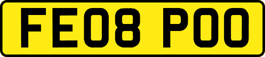 FE08POO