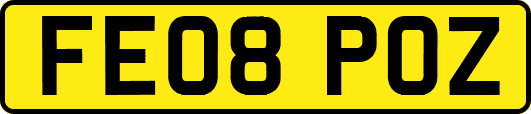FE08POZ