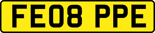 FE08PPE