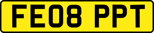 FE08PPT