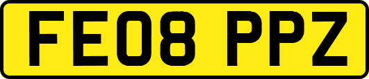 FE08PPZ