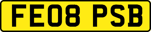 FE08PSB