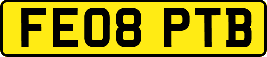 FE08PTB