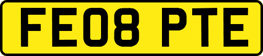 FE08PTE