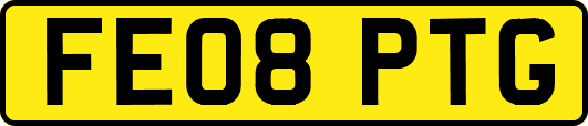 FE08PTG