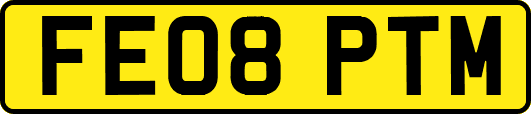 FE08PTM