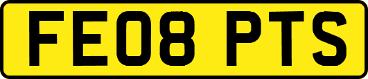 FE08PTS