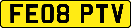 FE08PTV