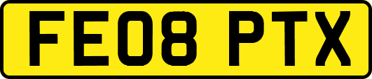 FE08PTX