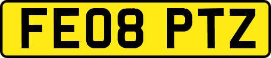 FE08PTZ