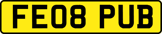 FE08PUB