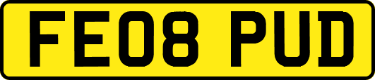 FE08PUD