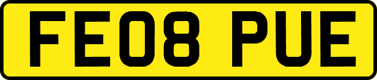 FE08PUE