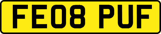 FE08PUF