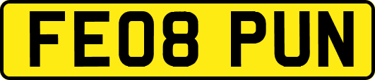 FE08PUN