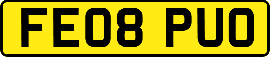 FE08PUO