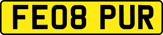 FE08PUR