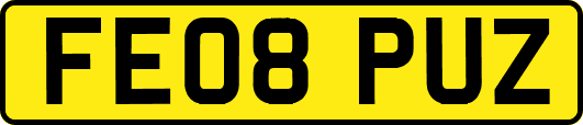 FE08PUZ