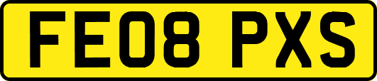 FE08PXS