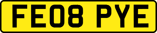 FE08PYE