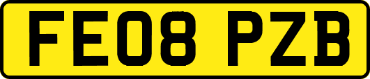 FE08PZB