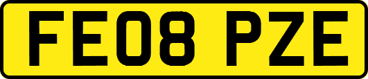 FE08PZE