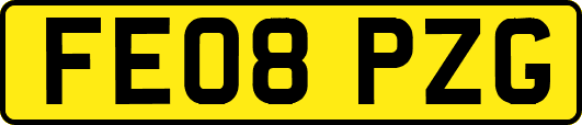 FE08PZG