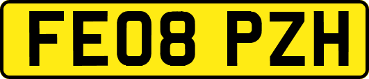 FE08PZH