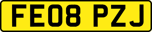 FE08PZJ
