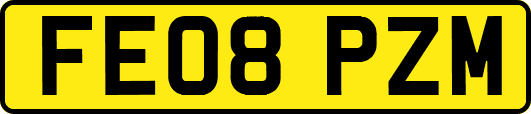 FE08PZM