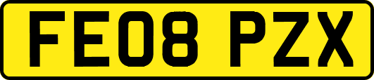 FE08PZX