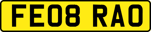 FE08RAO