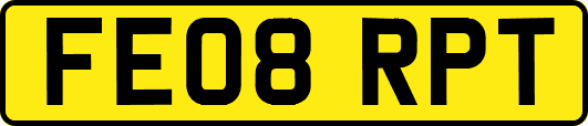 FE08RPT