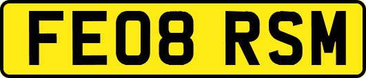 FE08RSM