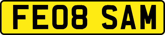 FE08SAM