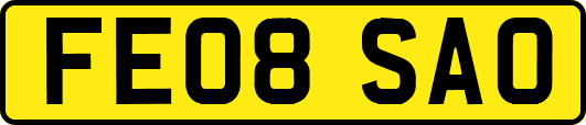 FE08SAO