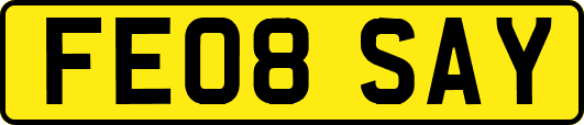 FE08SAY