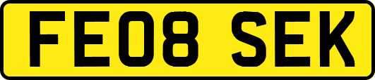 FE08SEK