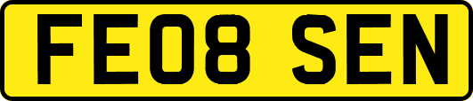 FE08SEN