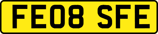 FE08SFE