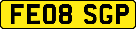 FE08SGP