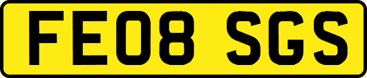 FE08SGS