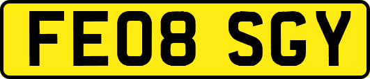 FE08SGY